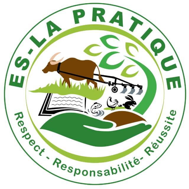 Logo ES-LA PRATIQUE